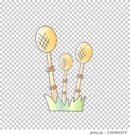 可愛い水彩風のつくしのイラスト 136990974