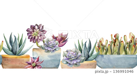 Watercolor aeonium rosette, crassula shoots, sansevieria succulents planted in minimal ceramic pots. Isolated illustration hand drawn in watercolor. Seamless botanical banner for florist promotions 136991046