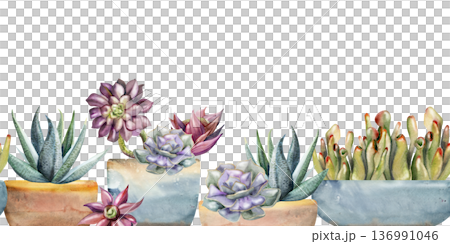 Watercolor aeonium rosette, crassula shoots, sansevieria succulents planted in minimal ceramic pots. Isolated illustration hand drawn in watercolor. Seamless botanical banner for florist promotions Watercolor aeonium rosette, crassula shoots, sansevieria succulents planted in minimal ceramic pots. Isolated illustration hand drawn in watercolor. Seamless botanical banner for florist promotions 136991046