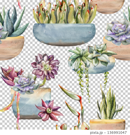 Seamless watercolor tiles of succulents, draping vine foliage in ceramic glazed pots and cachepot, hanging desert gardens. Isolated illustration hand drawn for creative backgrounds, pattern libraries. Seamless watercolor tiles of succulents, draping vine foliage in ceramic glazed pots and cachepot, hanging desert gardens. Isolated illustration hand drawn for creative backgrounds, pattern libraries. 136991047