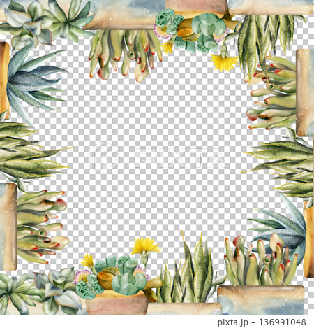 Potted succulent rosettes, flowering living stones lithops, sansevieria blades in ceramic planters. Isolated illustration hand drawn in watercolor. Botanical frame for spa menus, wellness materials. 136991048