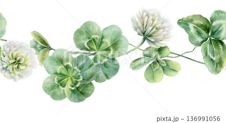 Seamless border of shamrocks and four leaves clover,white flowers.Watercolor ilustration,symbolizing luck and new beginnings,for wedding invitations,bridal party decor,romantic celebrations 136991056