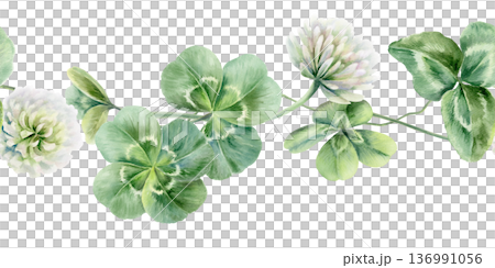 Seamless border of shamrocks and four leaves clover,white flowers.Watercolor ilustration,symbolizing luck and new beginnings,for wedding invitations,bridal party decor,romantic celebrations 136991056