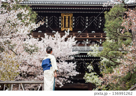 京都のお寺と桜の下に立つ着物姿の女性 136991262