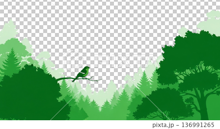 鬱鬱蔥蔥的森林景觀，一隻小鳥棲息在樹枝上。漸層單色自然插圖 136991265