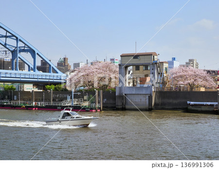 境川西水門とサクラ 境川西水門とサクラ 136991306