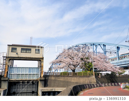 境川西水門とサクラ 136991310
