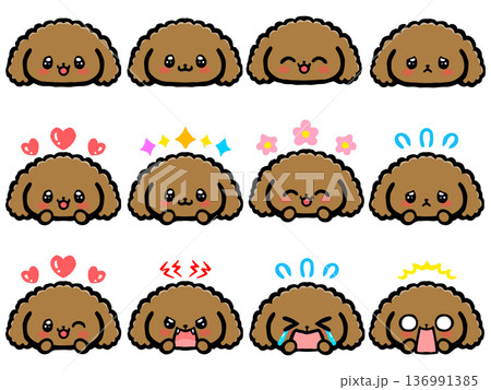 かわいいトイプードルの顔アイコンイラスト素材セット かわいいトイプードルの顔アイコンイラスト素材セット 136991385