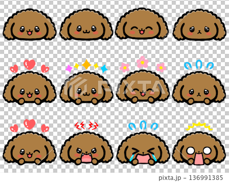 かわいいトイプードルの顔アイコンイラスト素材セット かわいいトイプードルの顔アイコンイラスト素材セット 136991385