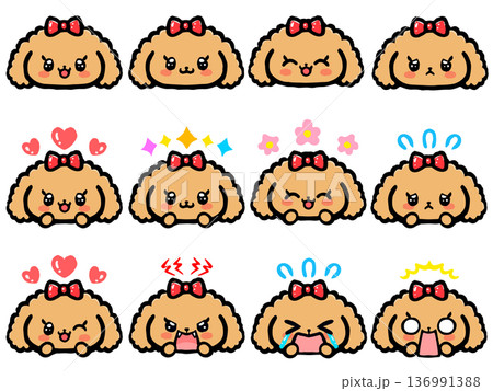 かわいいトイプードルの顔アイコンイラスト素材セット4 136991388