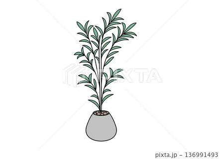 観葉植物　大型1　植木鉢　インテリア 136991493