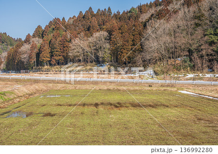 浅春の山里　滋賀県長浜市永原 136992280