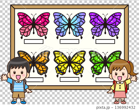 蝶の標本紹介をする小学生のイラスト素材 136992432