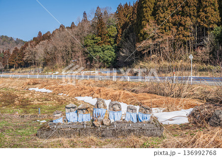 村の守り神　石仏　滋賀県長浜市永原 136992768