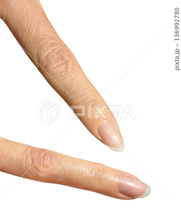 2種類の指（上：人差し指　下：薬指） 136992780