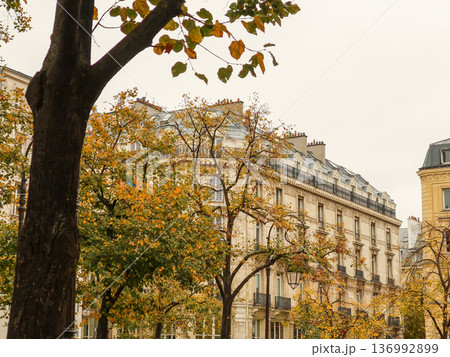 Parisian street view in autumn, haussmann architecture with trees showing fall foliage and a cloudy sky 136992899