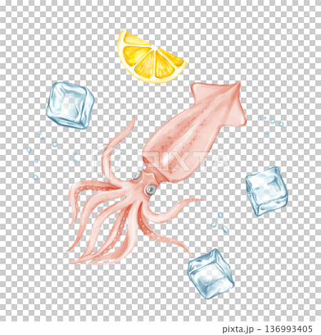 Fresh raw squid with ice cubes and lemon slice illustration 136993405