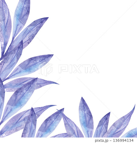 Delicate hand-drawn watercolor template with blue and purple leaves in the corner and central text space on white background. For botanical design cosmetic packaging, invitations, covers, accessories 136994134