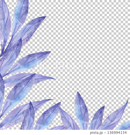 Delicate hand-drawn watercolor template with blue and purple leaves in the corner and central text space on white background. For botanical design cosmetic packaging, invitations, covers, accessories Delicate hand-drawn watercolor template with blue and purple leaves in the corner and central text space on white background. For botanical design cosmetic packaging, invitations, covers, accessories 136994134