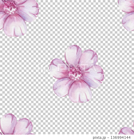 Seamless pattern with delicate watercolor pink flowers on a white background. For fabric design, cosmetics packaging, stationery, floral interior decor, wallpaper 136994144