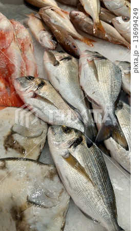 Premium seafood arranged on ice with fragrant coastal atmosphere 136994249