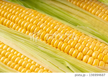 Sweet corn ears closeup. Fresh maize cob macro texture, autumn sweetcorn, corncob close up Sweet corn ears closeup. Fresh maize cob macro texture, autumn sweetcorn, corncob close up 136994687