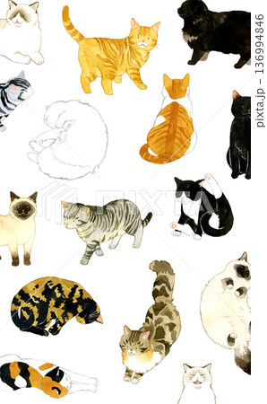かわいい猫たちの背景　ペット・動物の手描き水彩イラスト素材 136994846