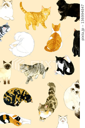 かわいい猫たちの背景　ペット・動物の手描き水彩イラスト素材 136994847