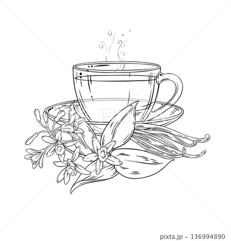 Cup of Vanilla Tea Outline Illustration. Cup of Vanilla Tea Outline Illustration. 136994890