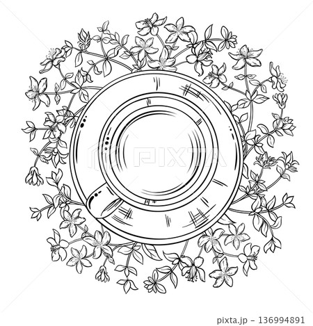 Cup of Tutsan Tea Outline Illustration. 136994891