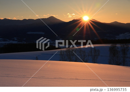 日の出の太陽に照らされた雪原 日の出の太陽に照らされた雪原 136995735