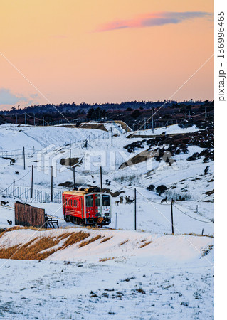 北海道・落石海岸の夕暮れ　花咲線とエゾシカが佇む冬の風景 136996465