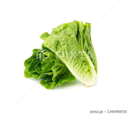 Two romaine lettuce salad isolated. Cos green leaves, fresh romain salat head, raw cabbage Two romaine lettuce salad isolated. Cos green leaves, fresh romain salat head, raw cabbage 136996650