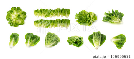 Romaine lettuce salad isolated. Cos green leaves, fresh romain salat head, raw cabbage Romaine lettuce salad isolated. Cos green leaves, fresh romain salat head, raw cabbage 136996651