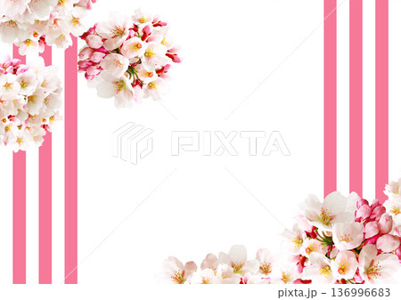 桜の花の背景 136996683