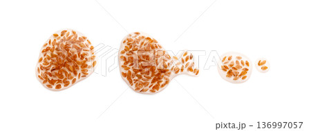 Plantago Ovata Seeds in Water Isolated, Psyllium Husk, Isabgol Ispaghula Plantago Ovata Seeds in Water Isolated, Psyllium Husk, Isabgol Ispaghula 136997057