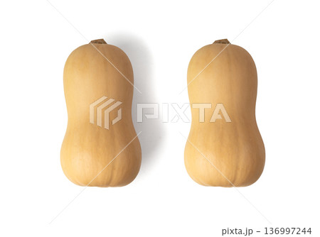 Butternut squash isolated on white. Raw fresh autumn pumpkin, ripe orange gourd 136997244
