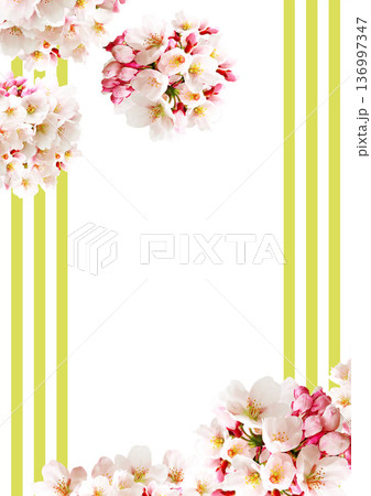 桜の花の背景 136997347