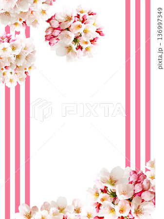 桜の花の背景 桜の花の背景 136997349