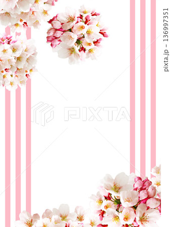桜の花の背景 桜の花の背景 136997351