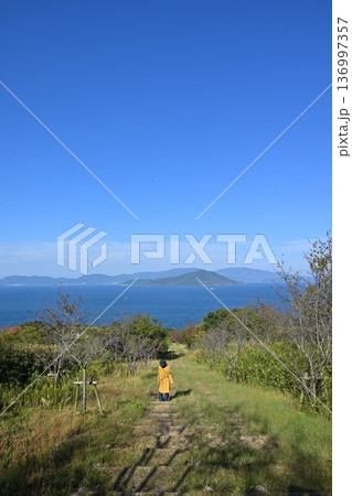 海が見える丘 海が見える丘 136997357