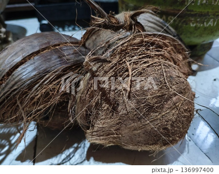 old coconut whose outer skin has been peeled  136997400