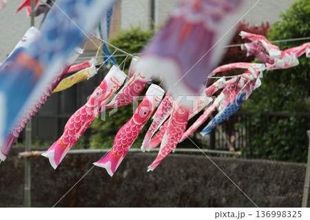 たくさんの鯉のぼり 136998325