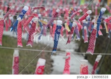 たくさんのカワイイ鯉のぼり たくさんのカワイイ鯉のぼり 136998328