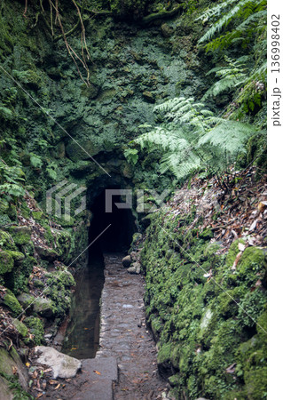 Caldeirao Verde levada tunnel in Madeira, mossy walls and ferns line channel and path into darkness 136998402