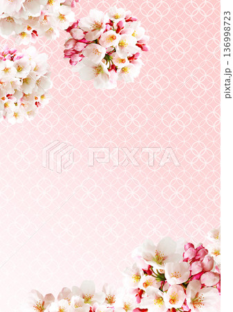桜の花の背景 桜の花の背景 136998723