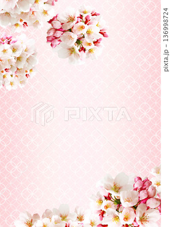 桜の花の背景 桜の花の背景 136998724