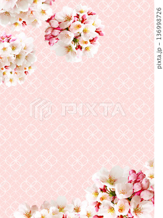 桜の花の背景 桜の花の背景 136998726