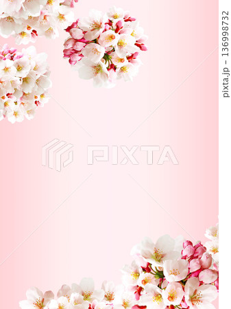 桜の花の背景 136998732