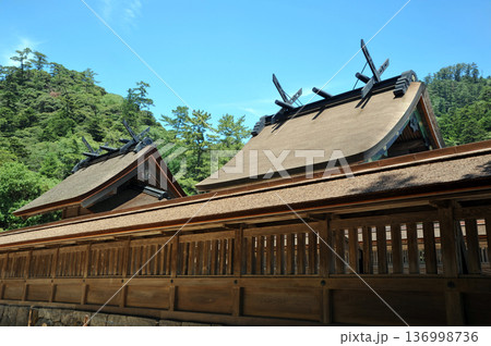 青空に映える出雲大社 136998736
